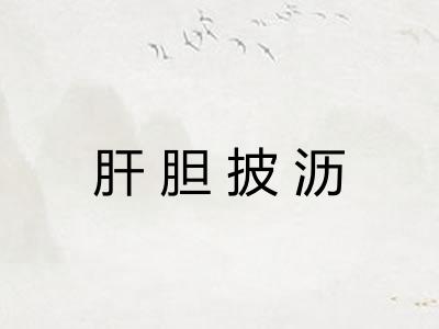 肝胆披沥