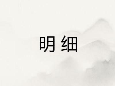 明细