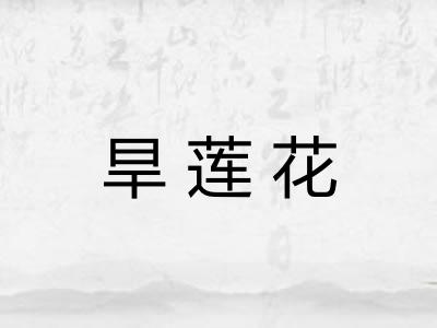 旱莲花