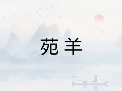 苑羊