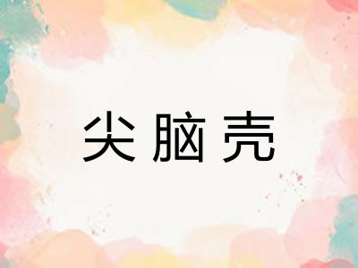尖脑壳