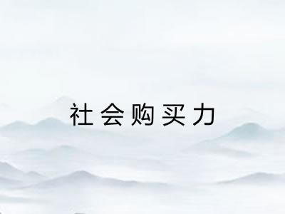 社会购买力