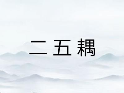 二五耦