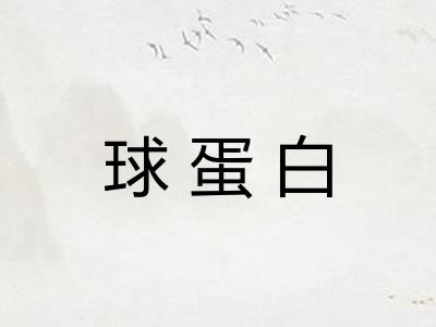 球蛋白