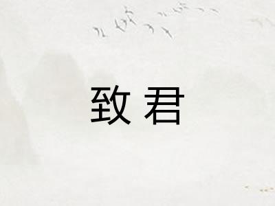 致君