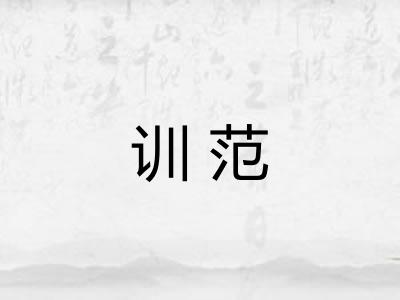 训范
