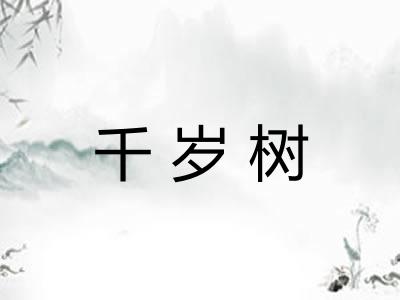 千岁树