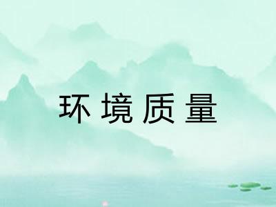 环境质量