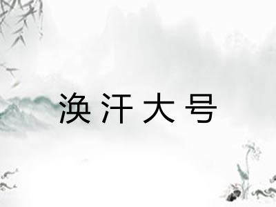 涣汗大号