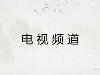 电视频道