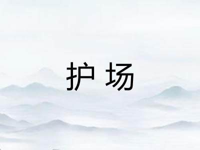 护场