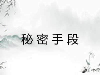 秘密手段