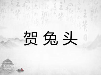 贺兔头