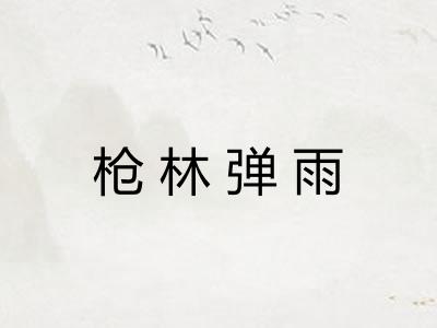 枪林弹雨