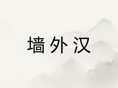 墙外汉