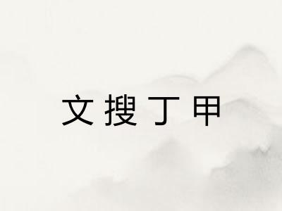 文搜丁甲