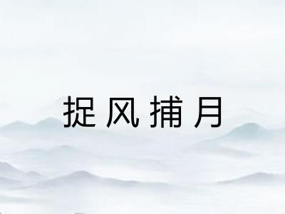 捉风捕月