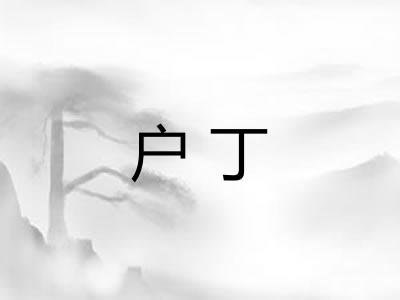 户丁