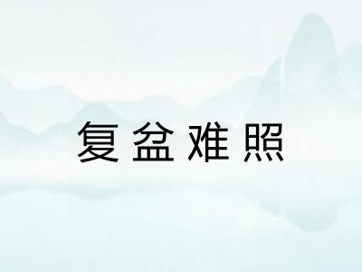 复盆难照