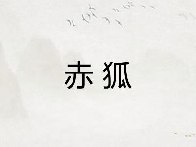 赤狐