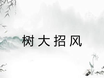 树大招风