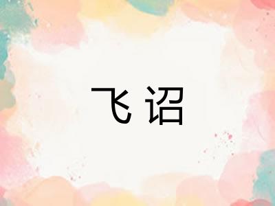 飞诏