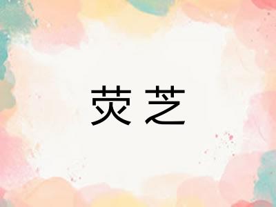 荧芝