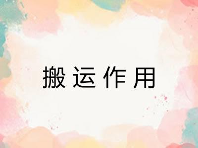 搬运作用