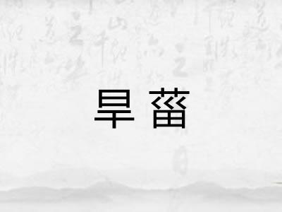 旱菑