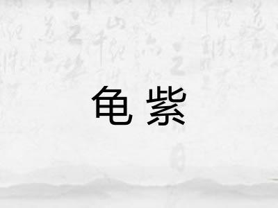 龟紫