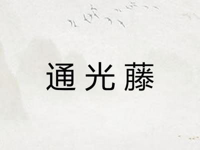 通光藤