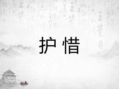 护惜
