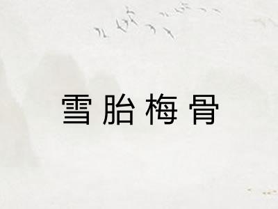 雪胎梅骨