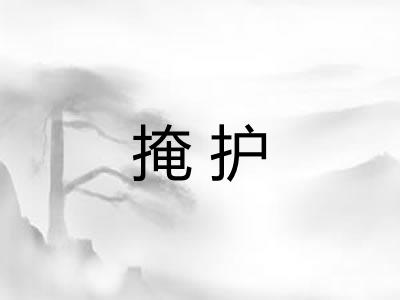 掩护