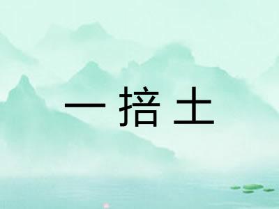一掊土