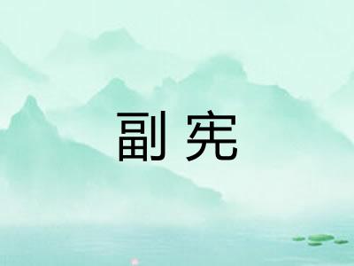 副宪