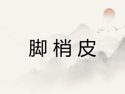 脚梢皮