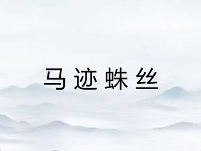 马迹蛛丝