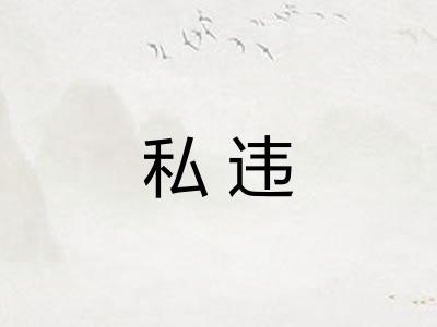 私违