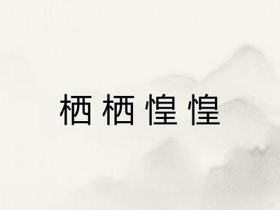 栖栖惶惶