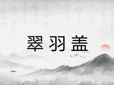 翠羽盖