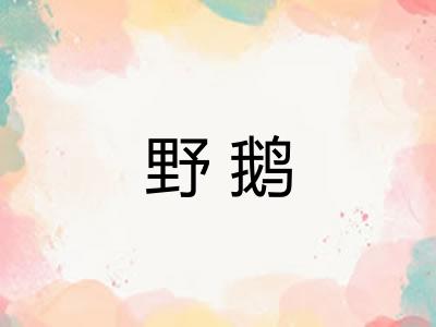 野鹅