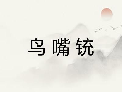 鸟嘴铳