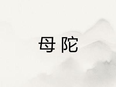 母陀