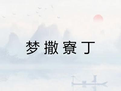 梦撒寮丁