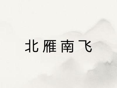 北雁南飞