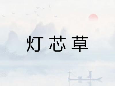 灯芯草