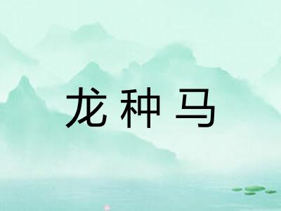 龙种马