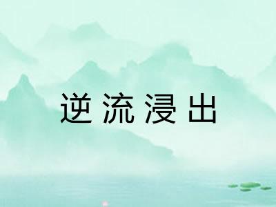 逆流浸出