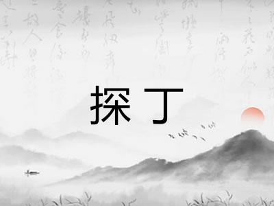 探丁